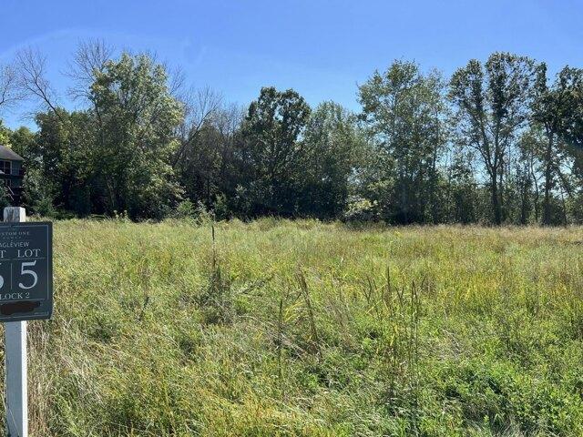 Land for sale in Savage