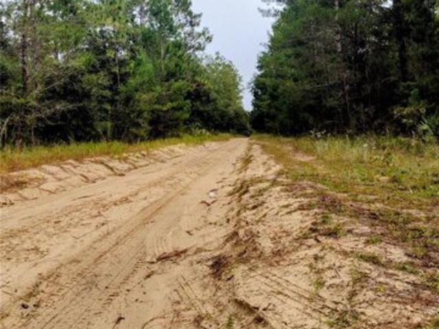 Land for sale in Interlachen, Florida