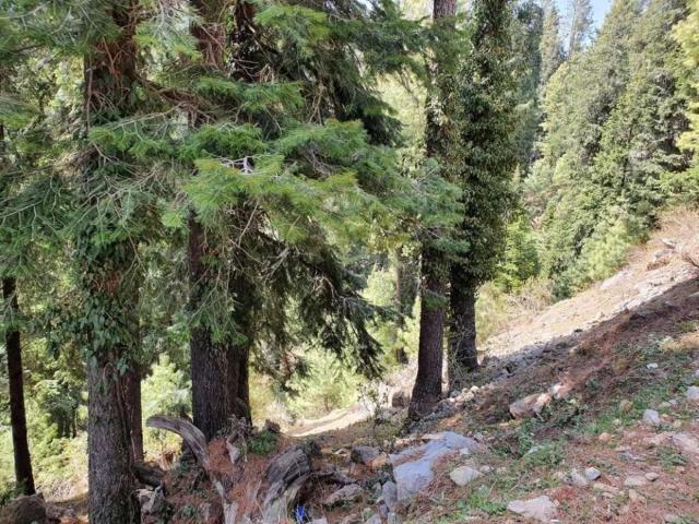 Land for sale in ایبٹ آباد, ہزارہ ڈویژن