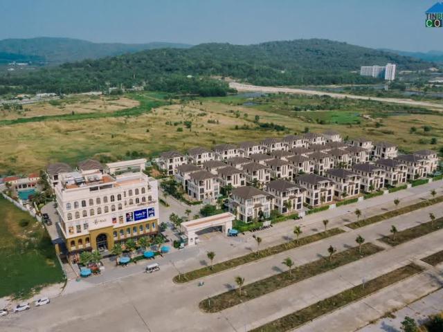 Biệt Thự bán