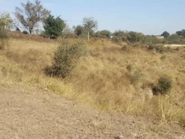 Land for sale in Chakwal, Islamabad Capital Territory