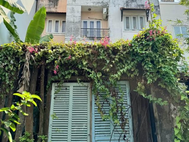 Bất động sản cho thuê tại Khu phố 11, Thành phố Hồ Chí Minh