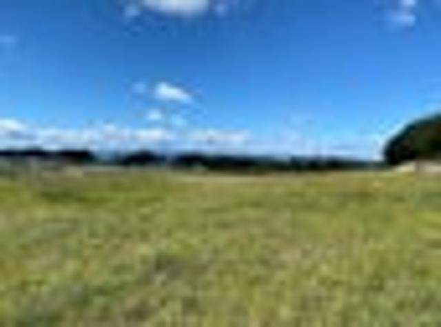 Land for sale in Horowhenua District