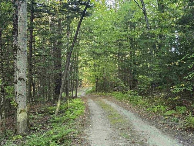 Land for sale in Westminster, Vermont