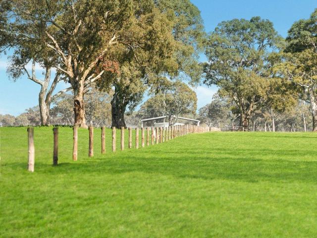 Cottage for sale in Balmoral, Victoria