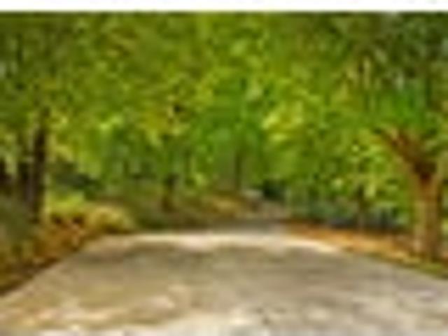 Land for sale in Kawau Island
