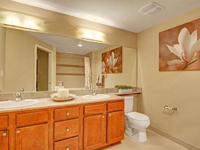 Apartment for rent in Shoreline