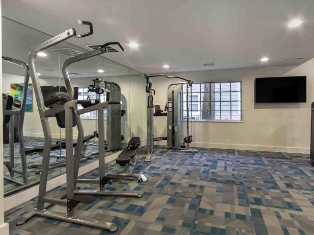 Apartment for rent in Tampa, Florida