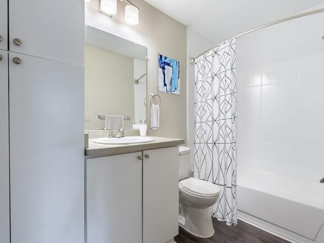 Apartment for rent in Tampa, Florida