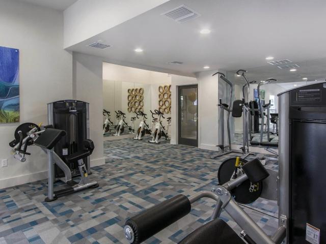 Apartment for rent in Tampa, Florida