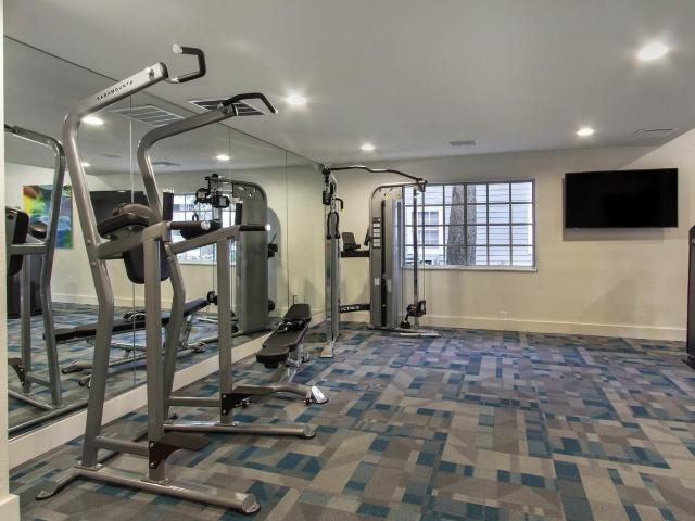 Apartment for rent in Tampa, Florida