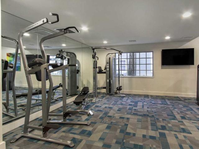 Apartment for rent in Tampa, Florida