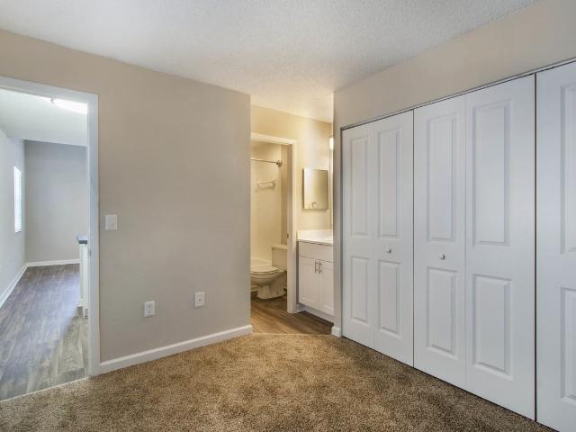 Apartment for rent in Tampa, Florida
