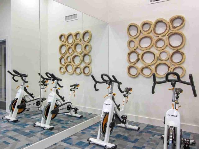 Apartment for rent in Al Dana Park, Tampa