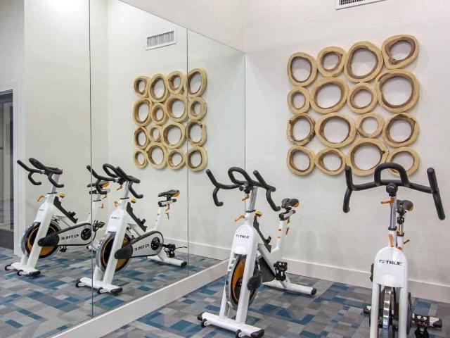 Apartment for rent in Al Dana Park, Tampa