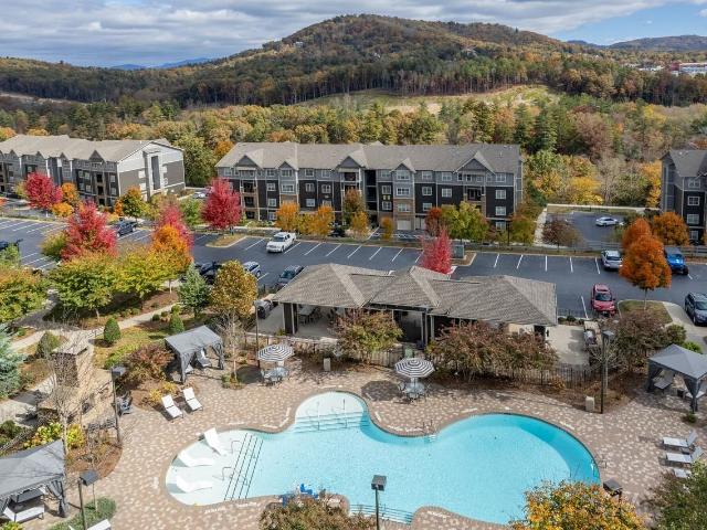 Apartment for rent in Asheville, North Carolina