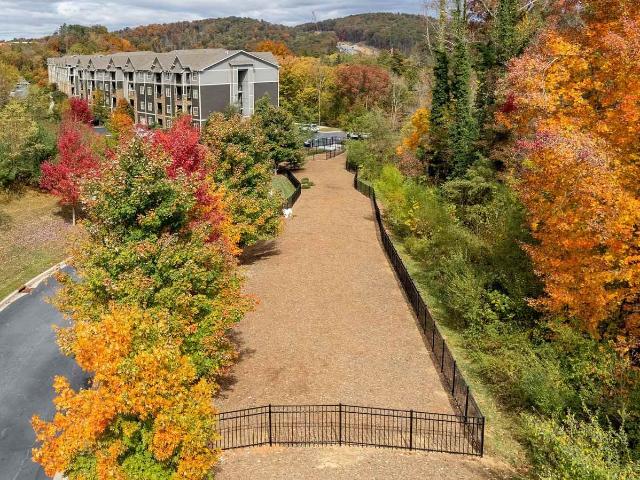 Apartment for rent in Asheville, North Carolina