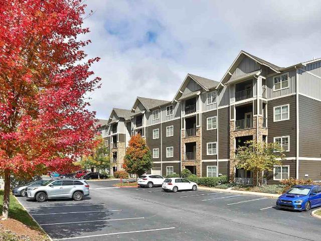Apartment for rent in Asheville, North Carolina