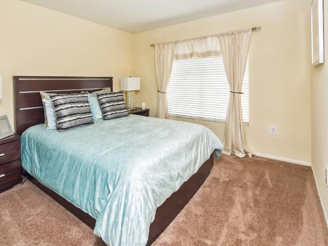 Apartment for rent in Tampa, Florida