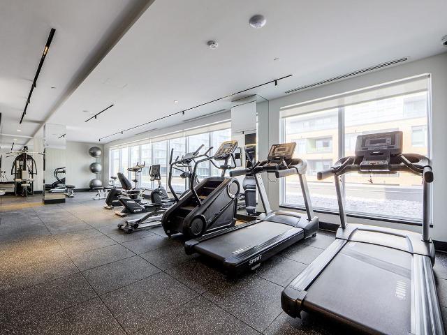 Apartment for rent in York, Ontario