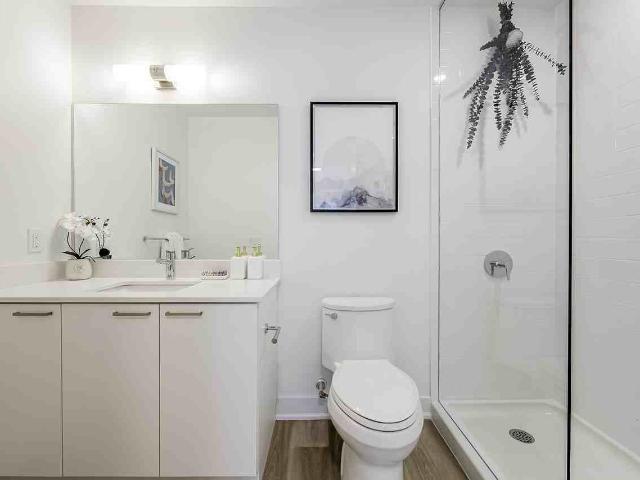Apartment for rent in York, Ontario