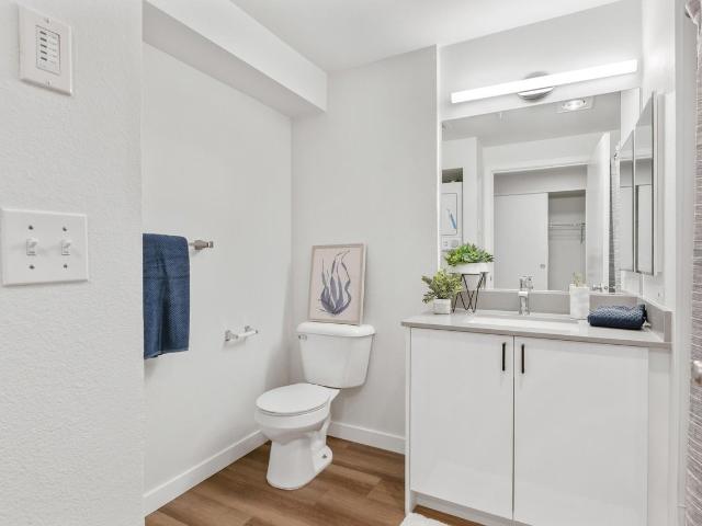 Apartment for rent in Bellevue, Washington