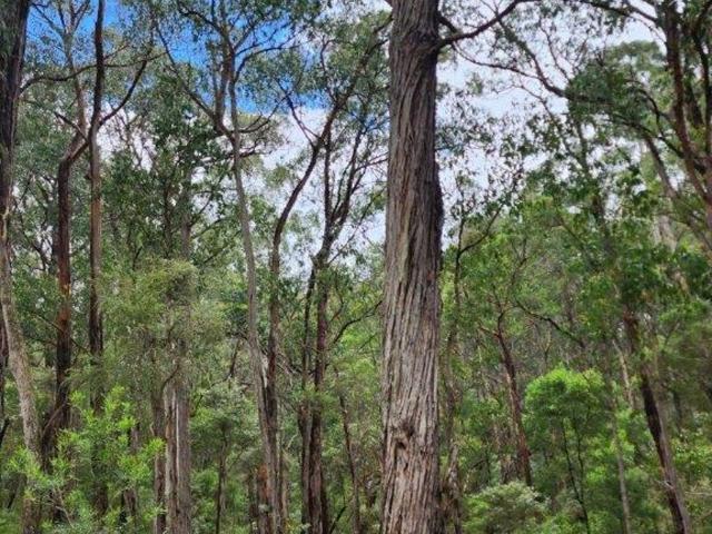 Property for sale in Carlisle River, Victoria