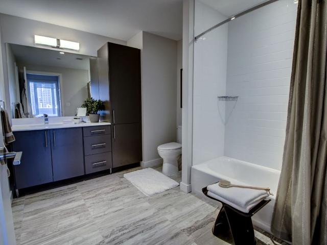 Apartment for rent in Boston, Massachusetts