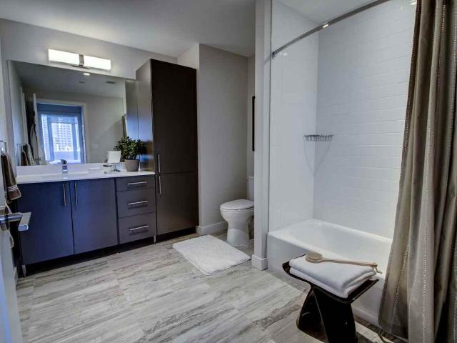 Apartment for rent in Boston, Massachusetts