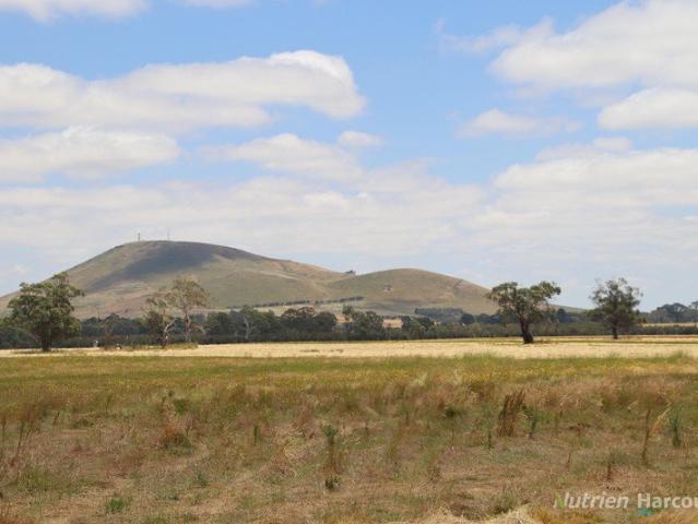 Cottage for sale in Kooroocheang, Victoria