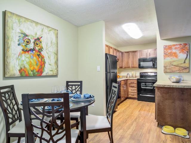 Apartment for rent in Athens, Georgia