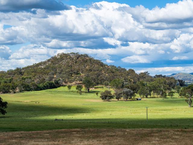 Property for sale in Table Top, New South Wales