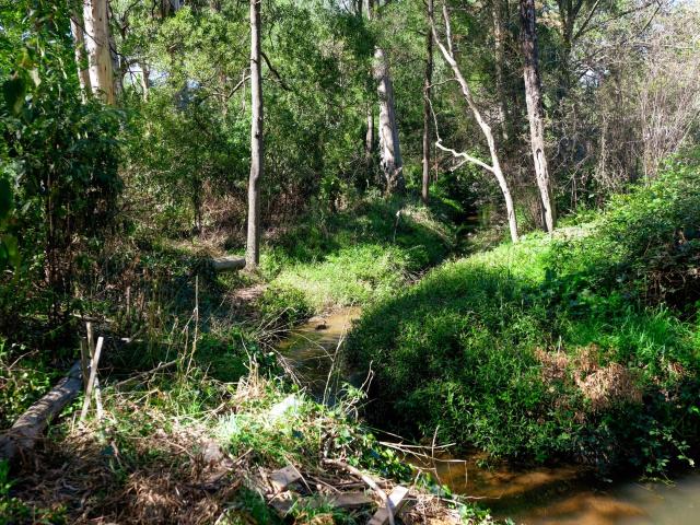 Property for sale in Camerons Creek, Victoria