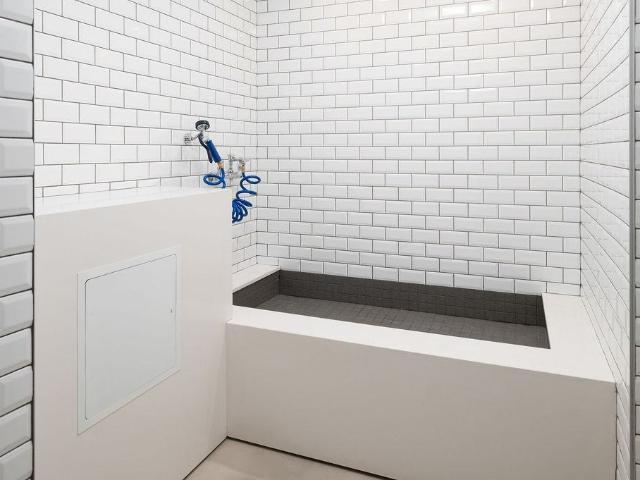Apartment for rent in South Parkdale, Toronto