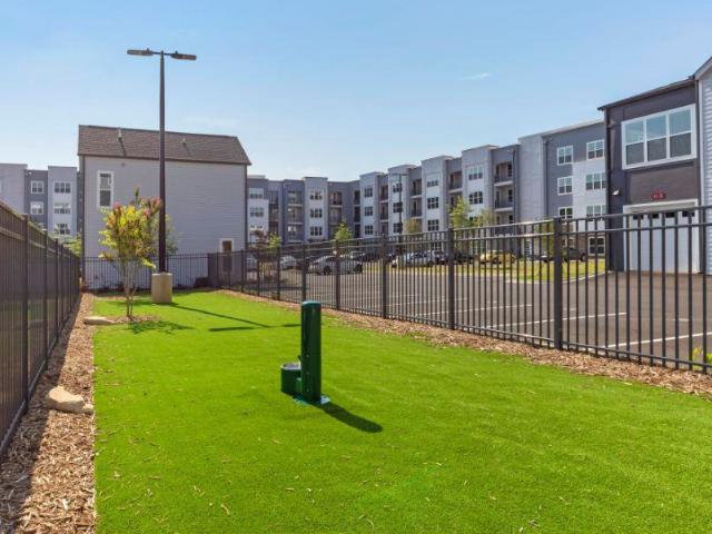 Apartment for rent in Charlotte