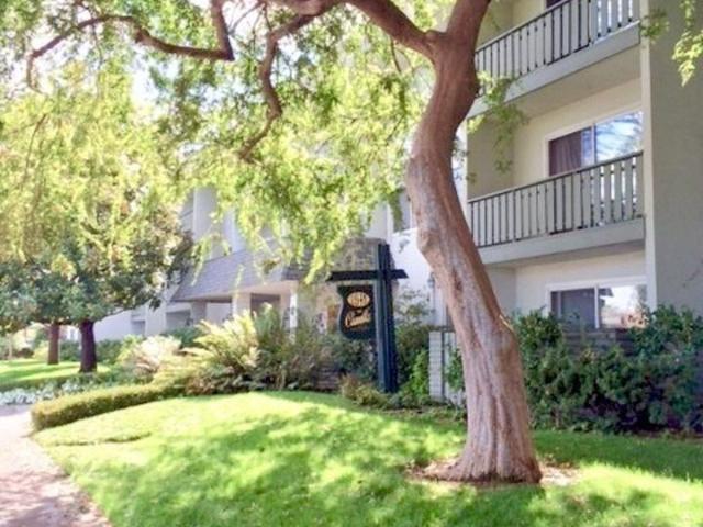 Apartment for rent in Mountain View