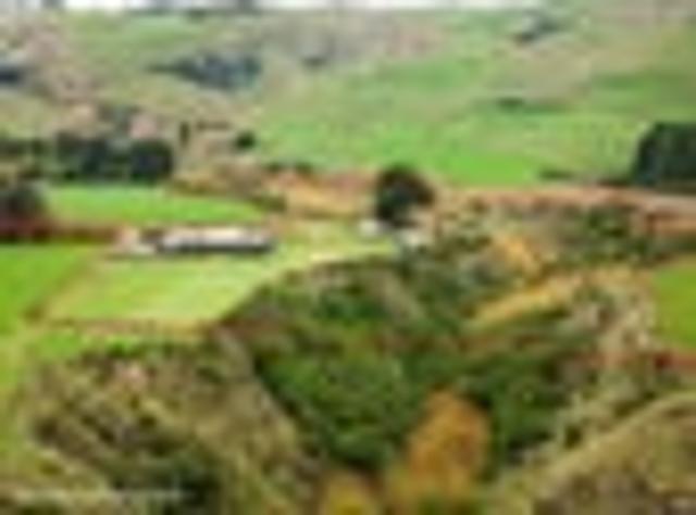 House for sale in Aokautere