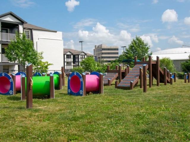 Apartment for rent in Lexington, Kentucky