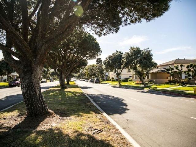 Apartment for rent in Torrance, California