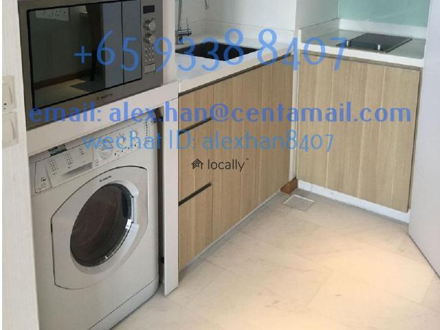 Apartment for rent in Tanjong Pagar