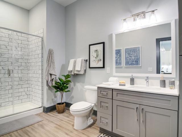 Apartment for rent in Georgia