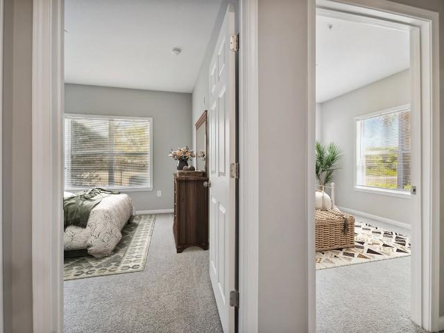 Apartment for rent in New Port Richey, Florida