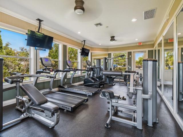 Apartment for rent in New Port Richey, Florida