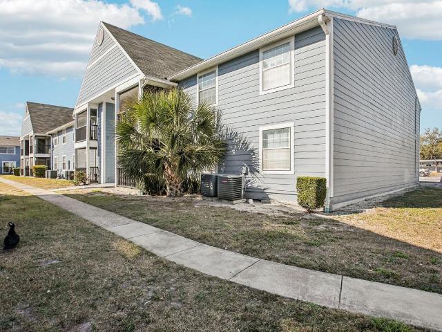 Apartment for rent in Tampa, Florida