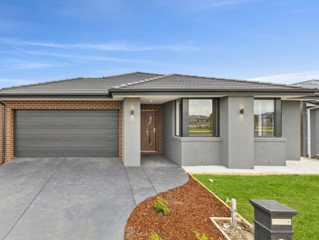 House for rent in Coridale, Lara