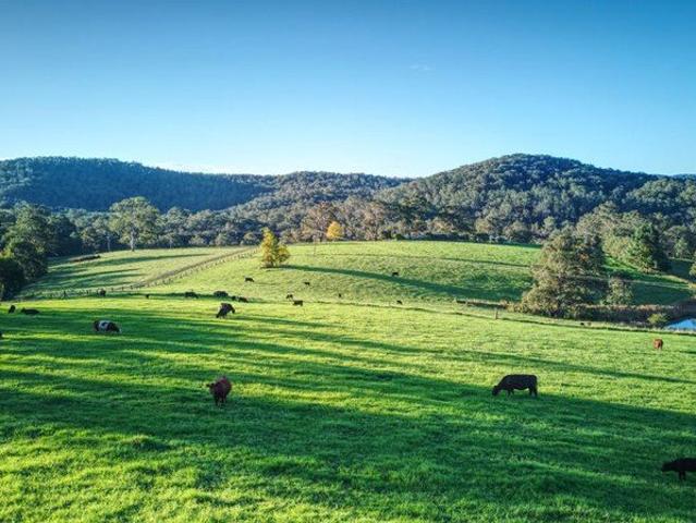 Cottage for sale in Dorrigo, New South Wales