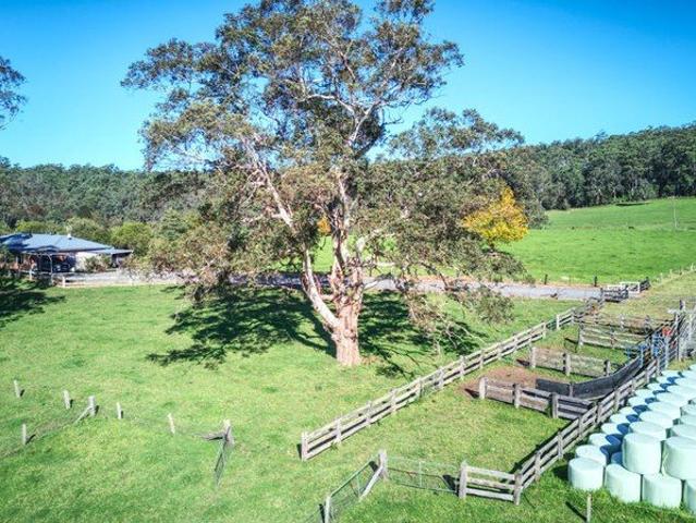 Cottage for sale in Dorrigo, New South Wales