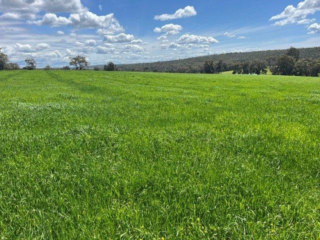 Acreage for sale in Manjimup, Western Australia