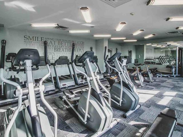 Apartment for rent in Waterloo, Ontario