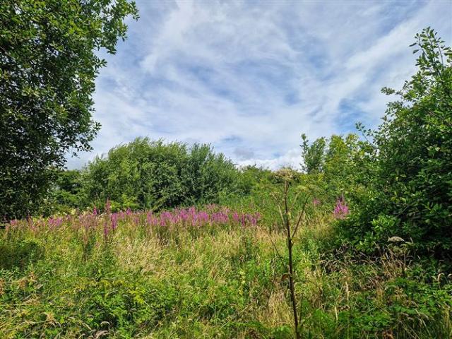 Cottage for sale in Mayglass